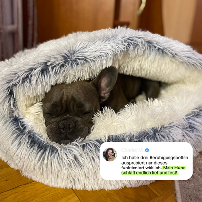 Skanto | COZYRO