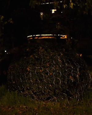 Solar fishing net illuminator