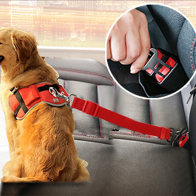 Skanto | Dog Car Seat Belt