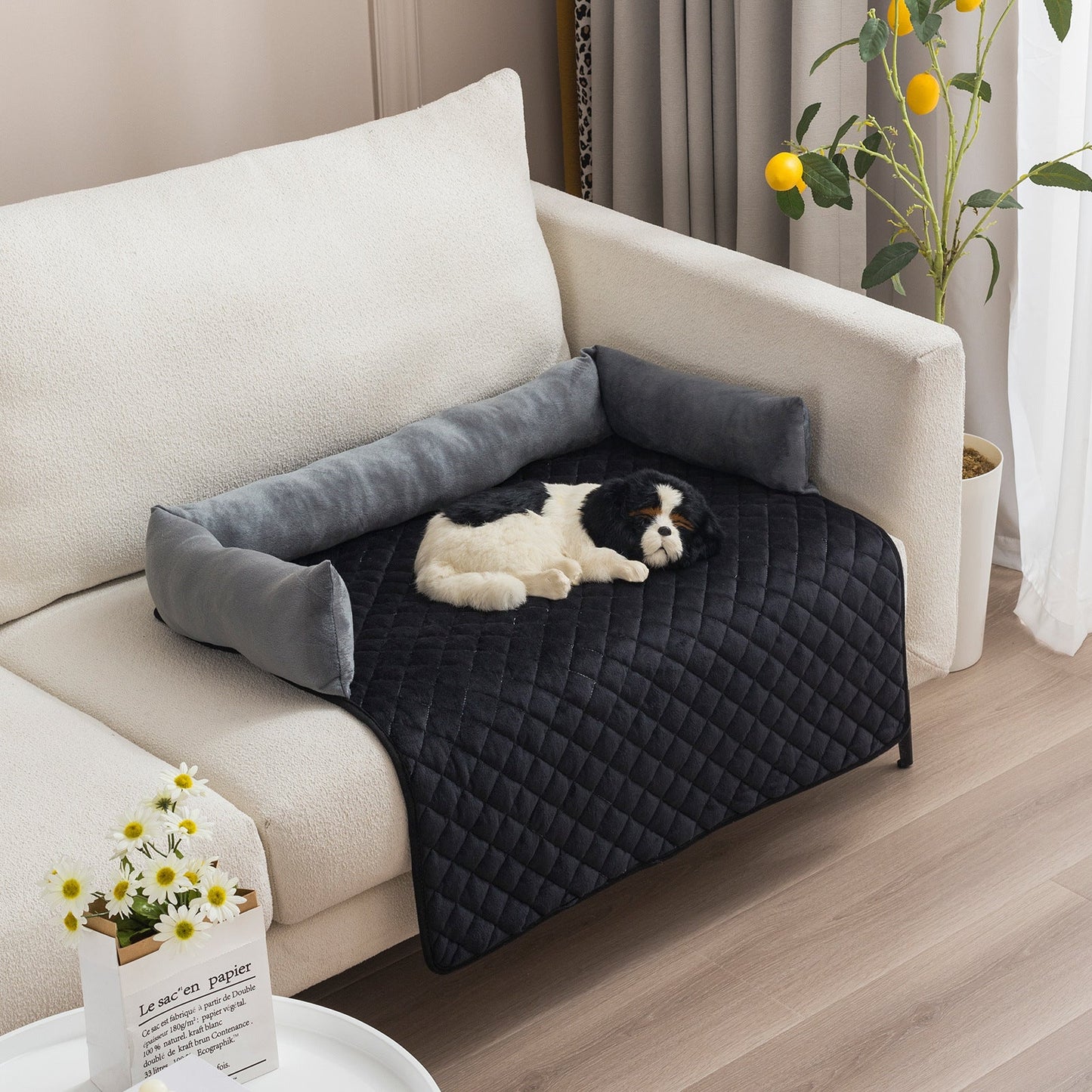 Skanto | Dog Sofa with Cushion.