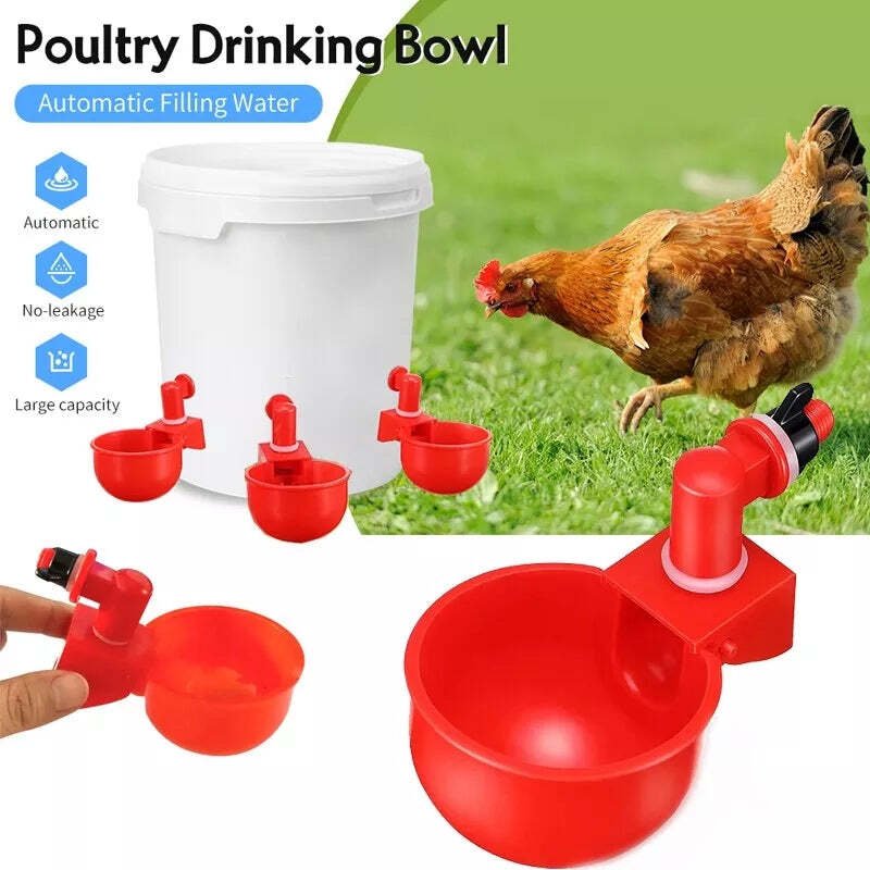 Norvo | Automatic Chicken Water Cup Bird Coop