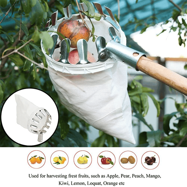 Skanto | Fruit Picker Head Basket