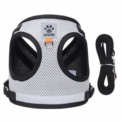 Kalsten | Escape-proof cat harness with reflective details