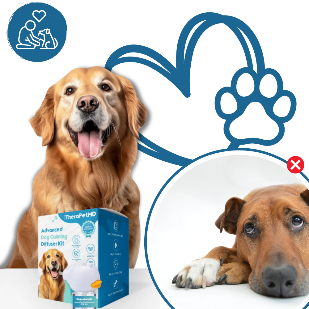 Pet Anxiety Relief