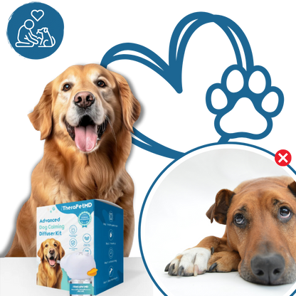 Pet Anxiety Relief