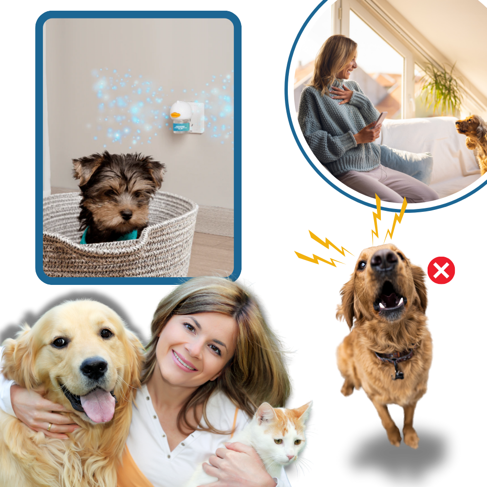 Pet Anxiety Relief