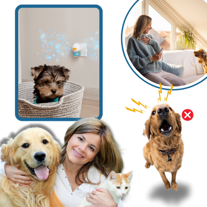 Pet Anxiety Relief