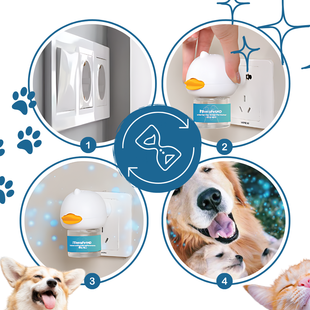 Pet Anxiety Relief