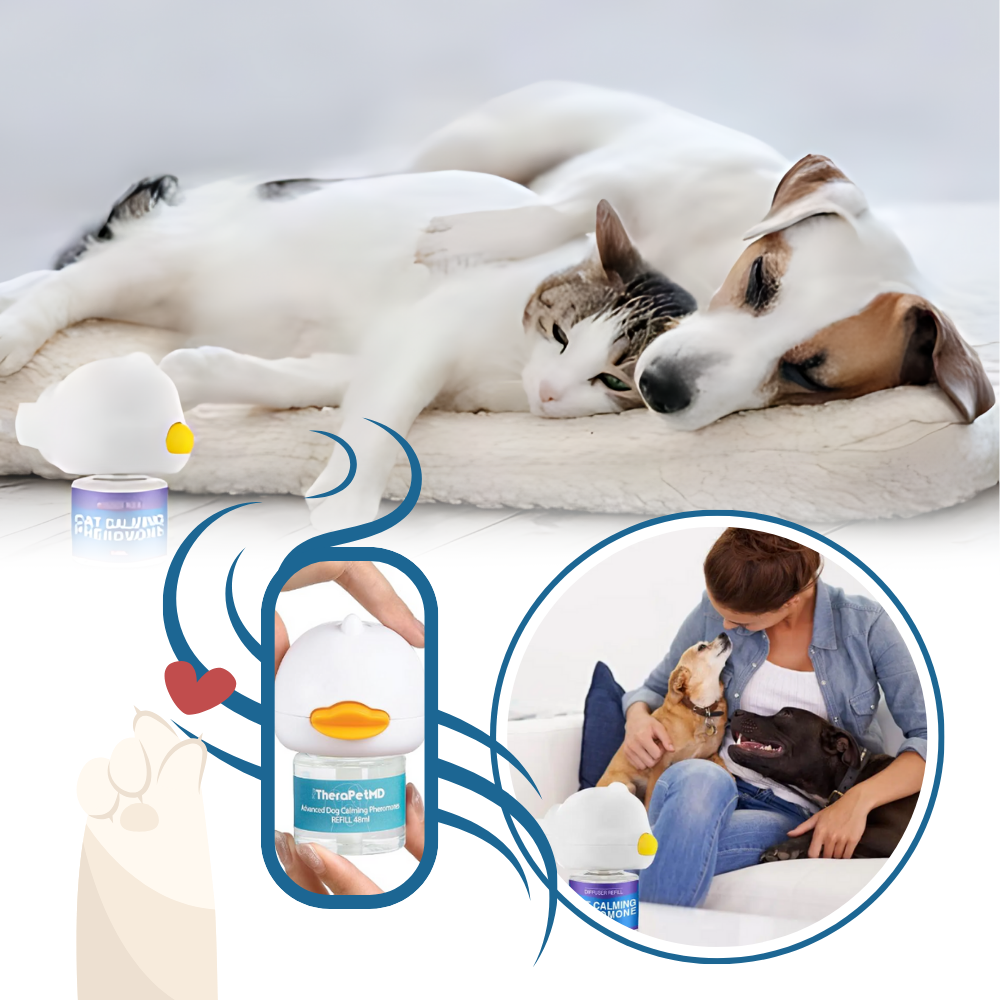 Pet Anxiety Relief