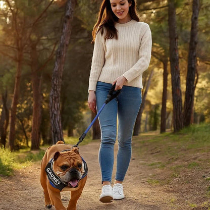 Skanto | Personalized Dog Harness for Comfort and Safety