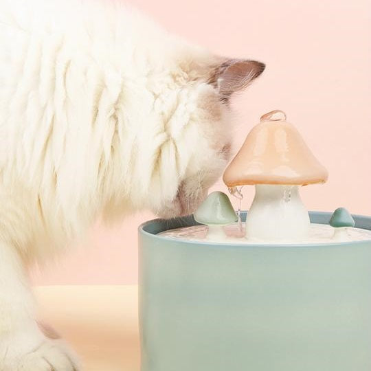 Skanto | Cat Mushroom Water Fountain