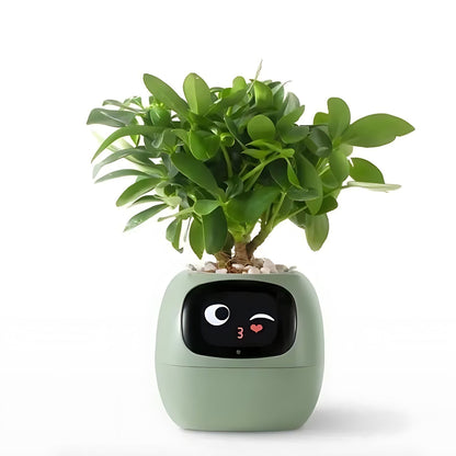 Frendorf | Automatic smart flower pot - GreenBuddy SmartPot