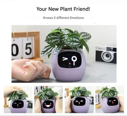 Frendorf | Automatic smart flower pot - GreenBuddy SmartPot