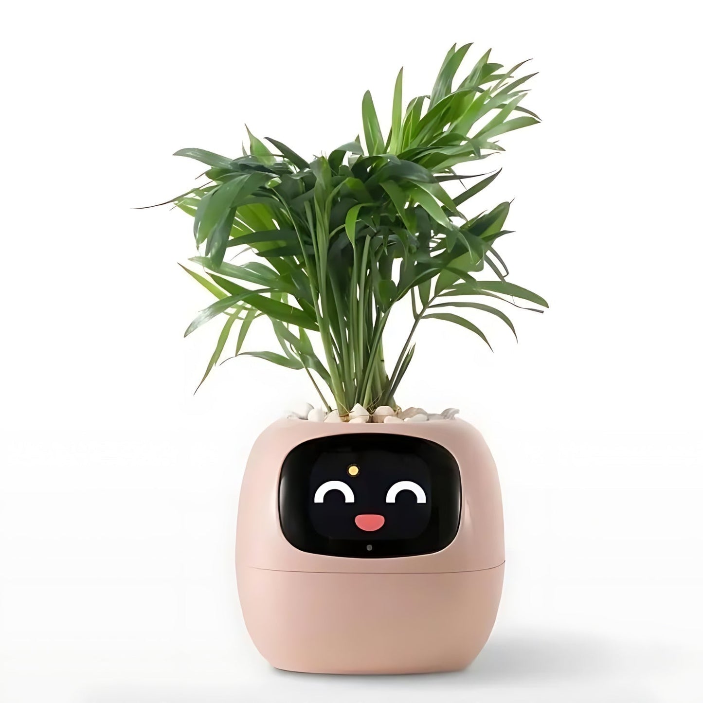 Frendorf | Automatic smart flower pot - GreenBuddy SmartPot