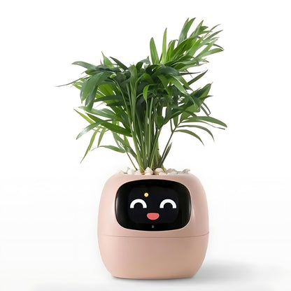 Frendorf | Automatic smart flower pot - GreenBuddy SmartPot