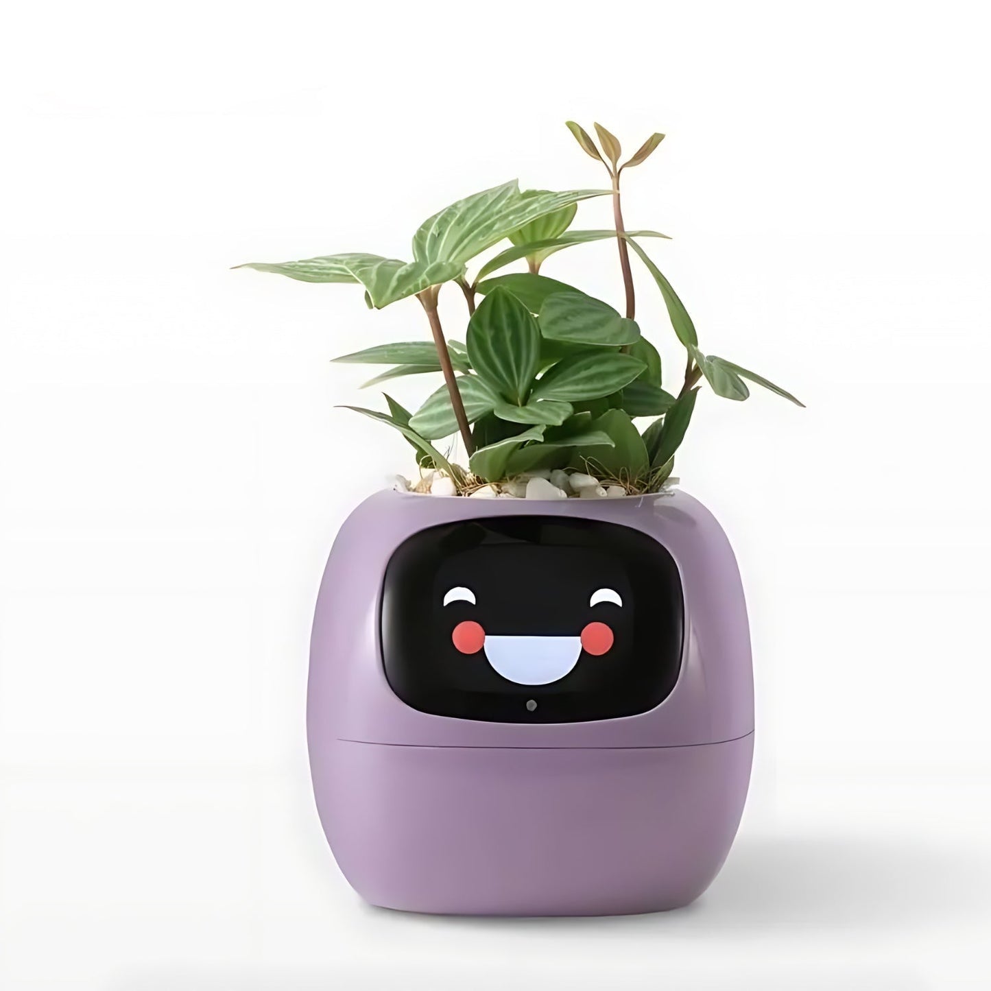 Frendorf | Automatic smart flower pot - GreenBuddy SmartPot