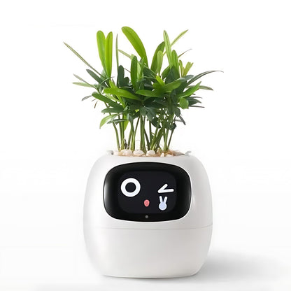 Frendorf | Automatic smart flower pot - GreenBuddy SmartPot