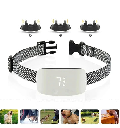StilPoot Dog Training Collar Rechargeable and Waterproof | Karnz
