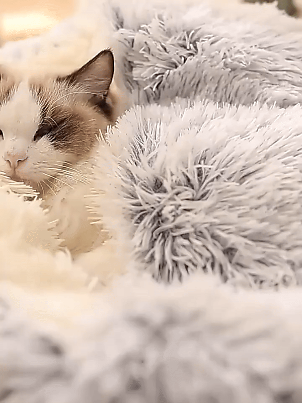 Skanto | Cozy Cave Pet Bed | Calming and Comfortable Dog Bed for Deep Relaxation