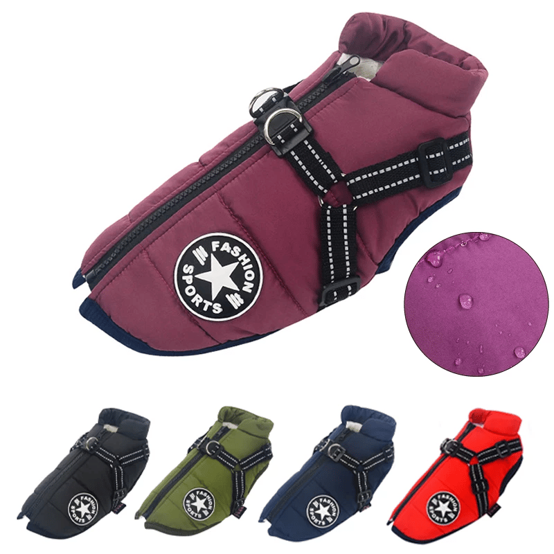 Winter Dog Jacket with Harness | Karnz