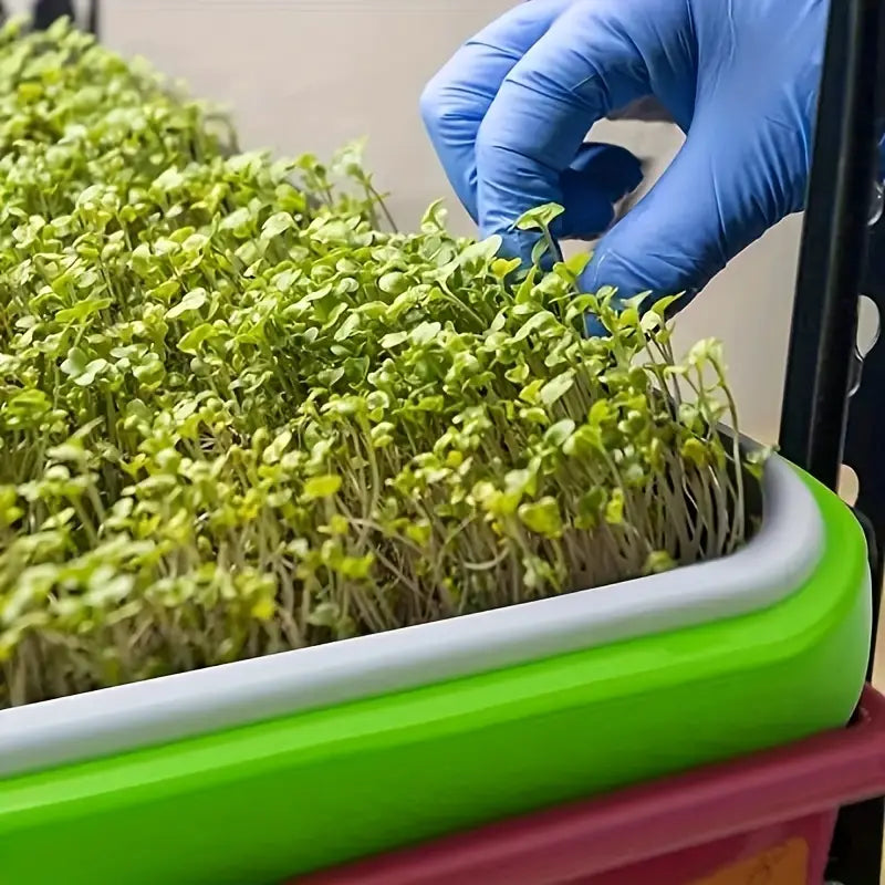 Skanto | Seedling Tray with Lid – Double-Layer Seedling Tray for Efficient Seed Germination