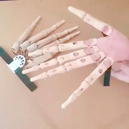 BowLift | CreepyClaws Halloween Frightening Finger Extension