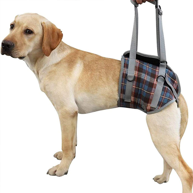 BowLift | Orthopedic Strap for Hind Legs