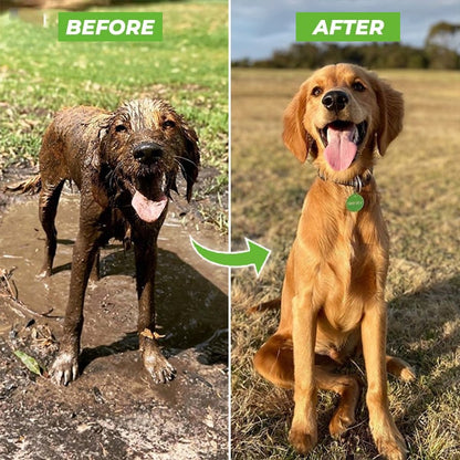 Skanto | Dogjet Pro™ - Wash Your Dog Effortlessly in Record Time!