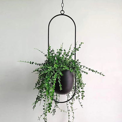 Stylish Indoor and Outdoor Plant Hanger - LeafLuxe | Bowlift