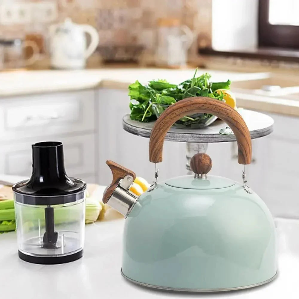 BOILVIA – 3-liter stainless steel kettle with whistle and comfort handle