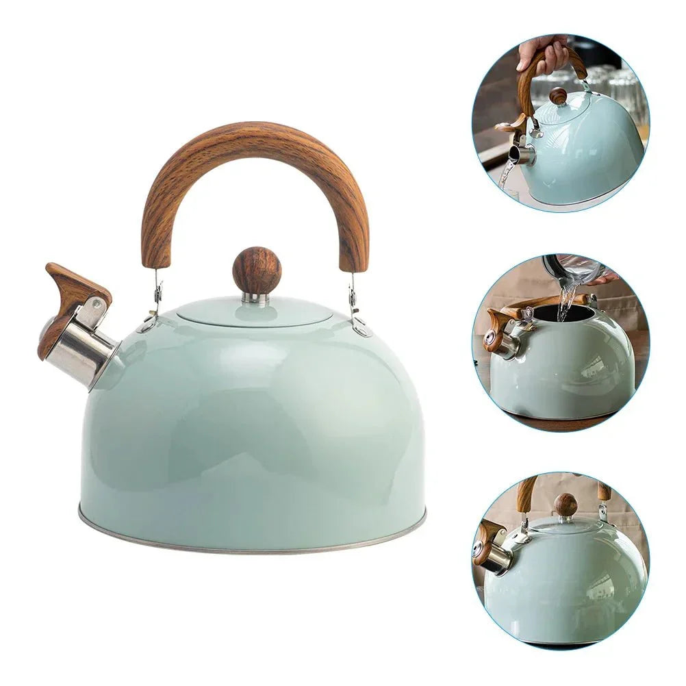 BOILVIA – 3-liter stainless steel kettle with whistle and comfort handle