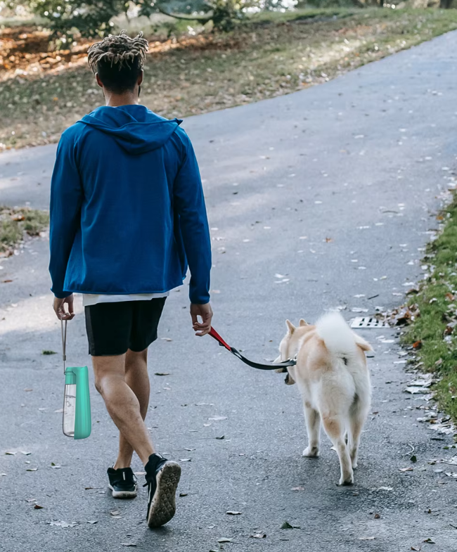 BowLift | Dog Water Bottle - Travel Leaksafe 550ml