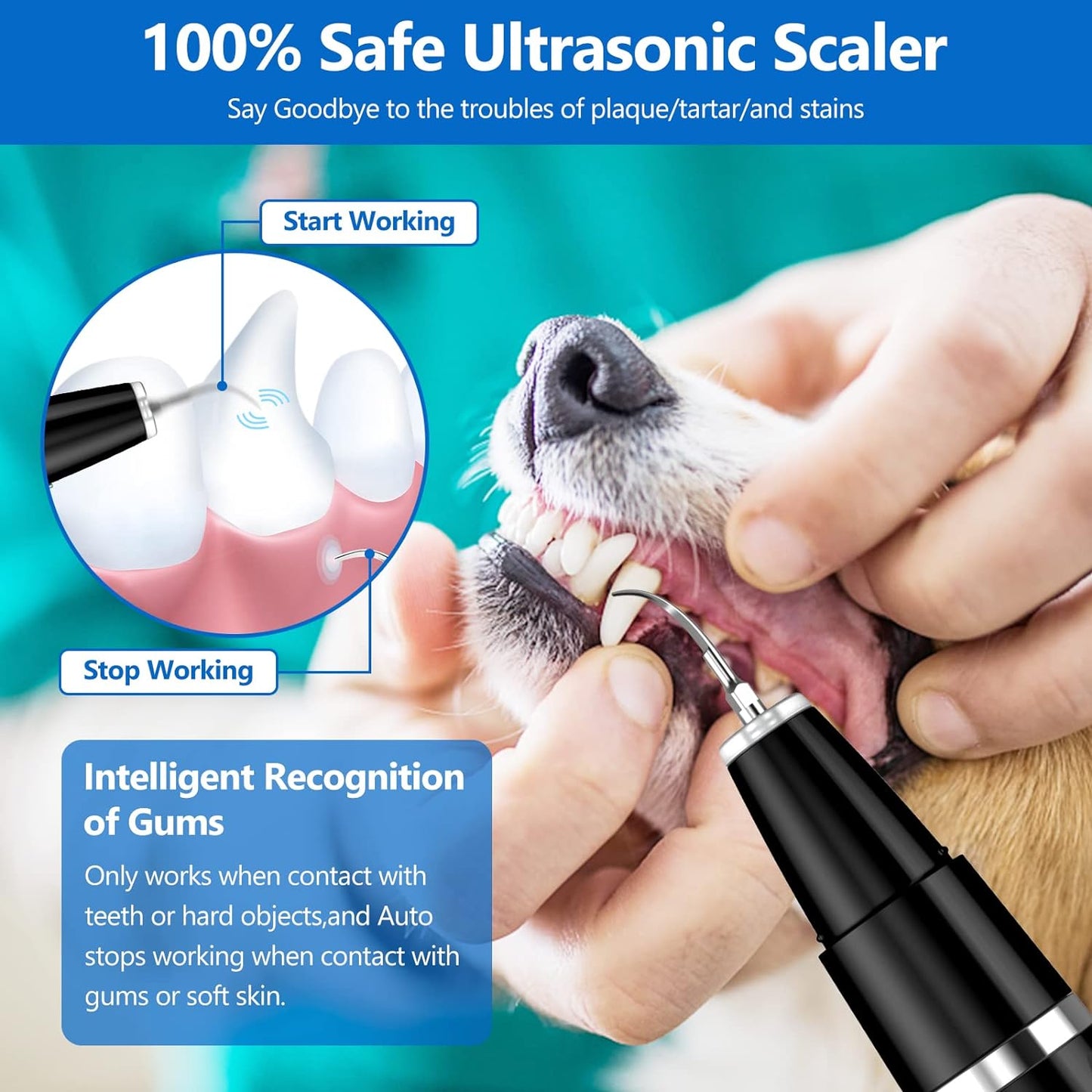 BuddyCare Ultrasonic Pet Dental Cleaning Kit Bowlift