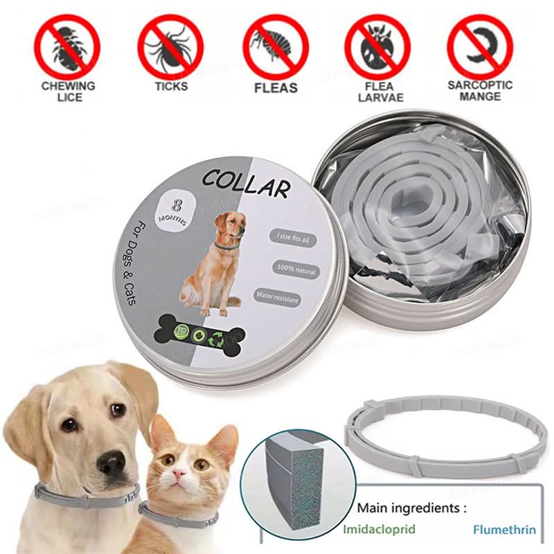Skanto | PAWTECT - Anti-Tick and Flea Collar