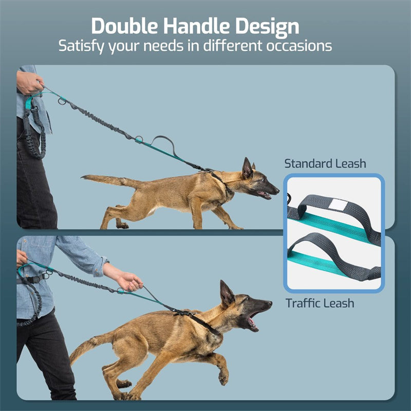 Skanto | Hands Free Dog Leash Set For Running