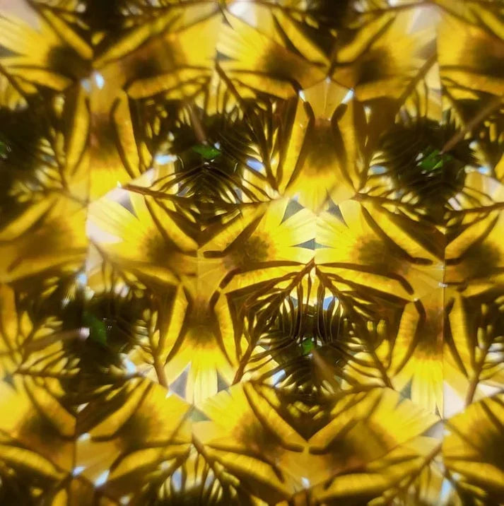 BowLift | Woodland Wonder Kaleidoscope