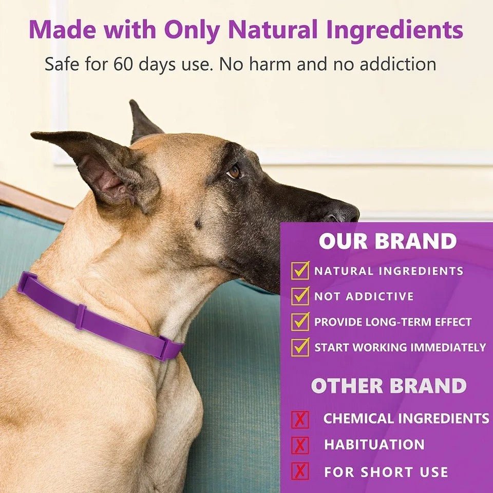 Skanto | Calmdog – Natural Calming Collar for Dogs with Pheromones and Essential Oils