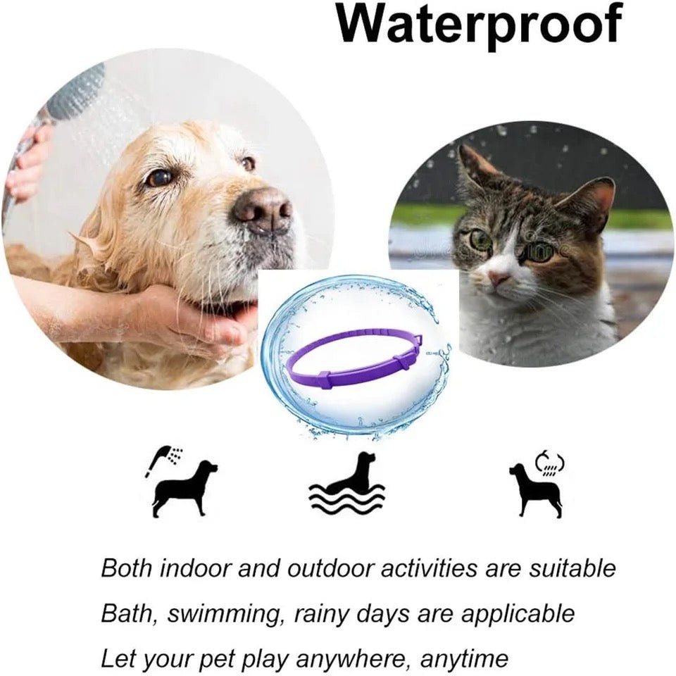 Skanto | Calmdog – Natural Calming Collar for Dogs with Pheromones and Essential Oils