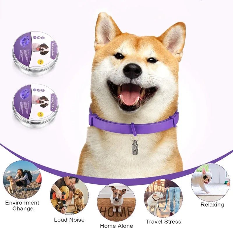 Skanto | Calmdog – Natural Calming Collar for Dogs with Pheromones and Essential Oils