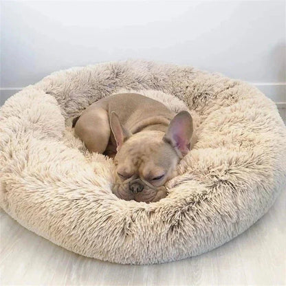 Skanto | SLUMBERPAWS BED – Calming Dog Bed for Deep, Restful Sleep