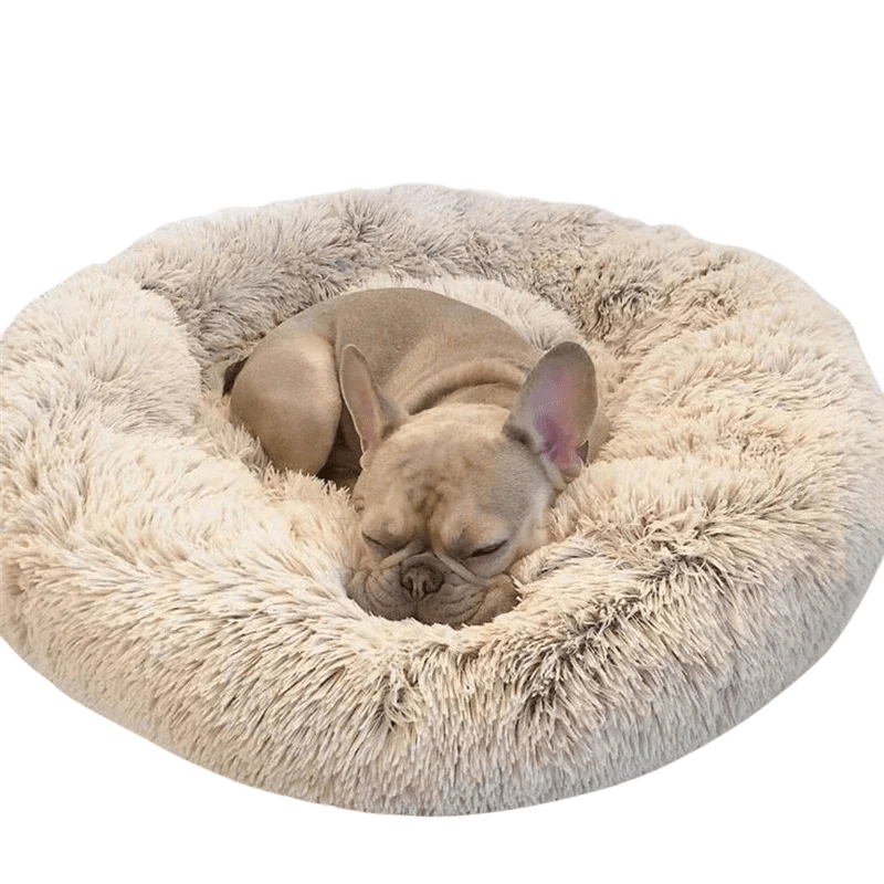 Skanto | SLUMBERPAWS BED – Calming Dog Bed for Deep, Restful Sleep