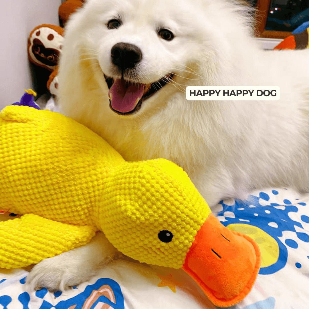 Skanto | Calming Duck for Dogs