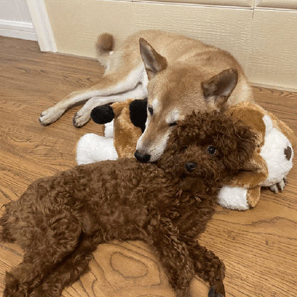 Skanto | Snuggle Puppy - Anxiety and Loneliness Reducing Stuffed Animal