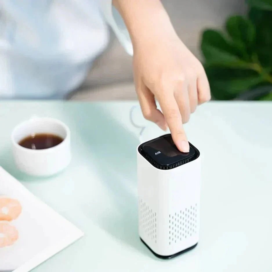 Skanto | Air Purifier - Healthy to Breathe - Fresh and Clean Atmosphere