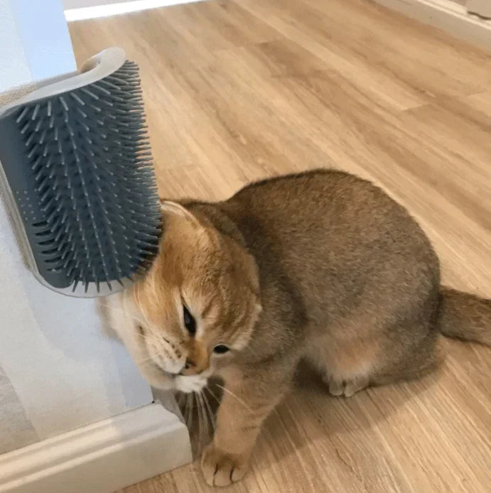Self-Grooming Cat Corner Brush – FurRelaxer Bowlift