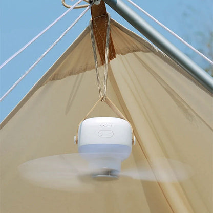 Airholm Hanging Fan with LED Light | Karnz