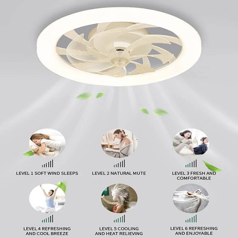 BowLift | Modern Ceiling Fan with LED Lights
