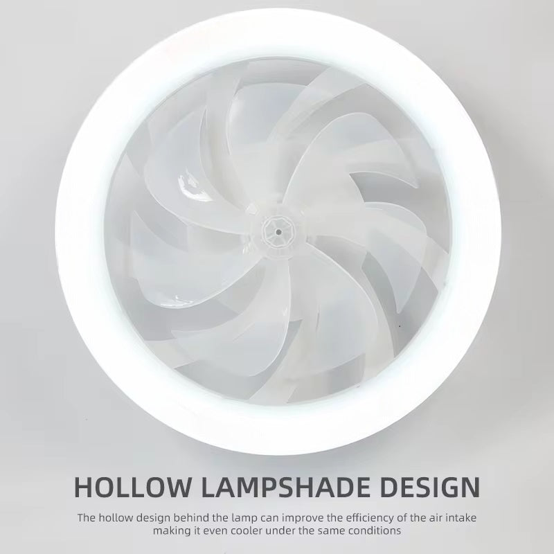 BowLift | Modern Ceiling Fan with LED Lights