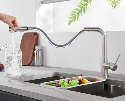 Skanto | Modern Kitchen Faucet Flexibility and Comfort Within Reach