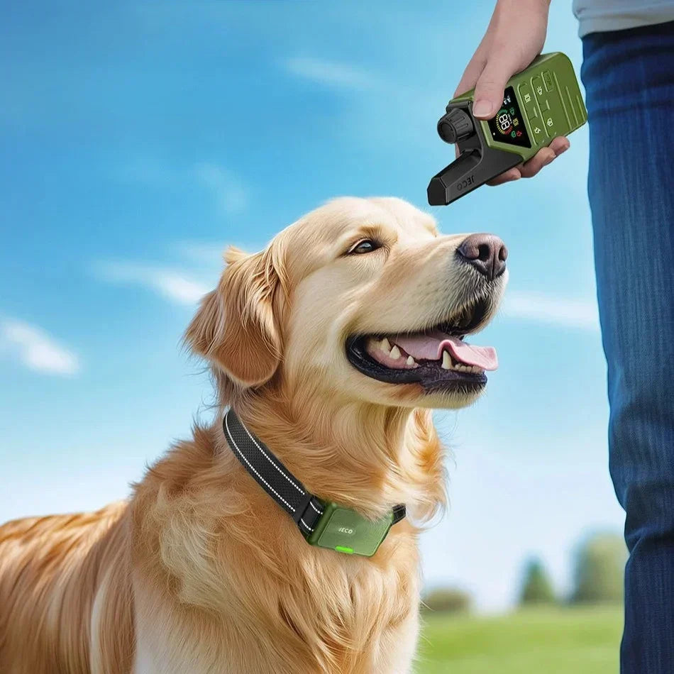 BowLift | JECO – Professional Dog Training Collar | Anti-Bark & Remote Control